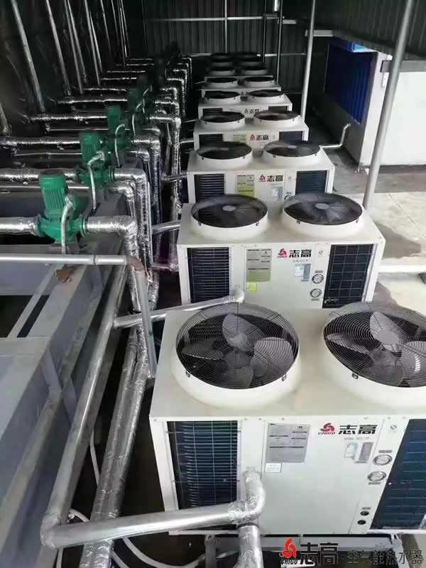 “专家”预言，这个冬季选“他”就对了