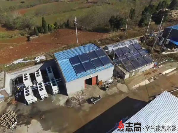 “专家”预言，这个冬季选“他”就对了