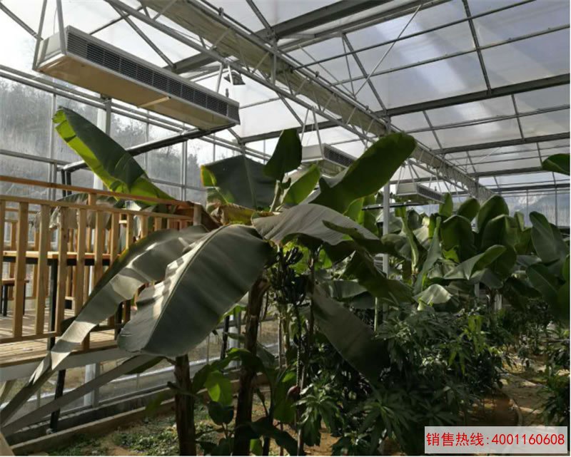山东日照七彩凤凰农业观光大棚空气能热泵供暖工程案例